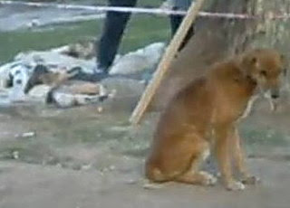 Tres grados bajo cero, atacan a los “sin techo”