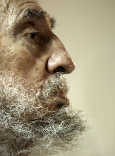 Los 86 de Fidel