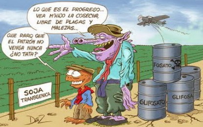 Fumigaciones: ¿retrocediendo en cuatro patas?