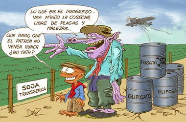 Fumigaciones: ¿retrocediendo en cuatro patas?