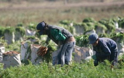 Lucha contra el trabajo infantil en campo: Mendoza es ejemplo