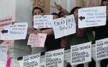 La Legislatura provincial rechazó la guía para abortos no punibles