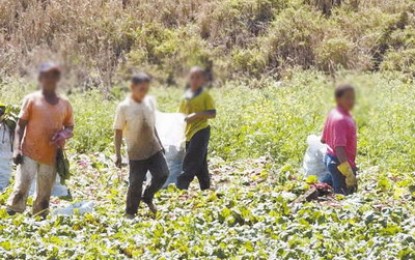 Nuevas formas de ocultamiento de trabajo infantil puertas adentro
