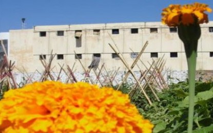 Una huerta como espacio de libertad