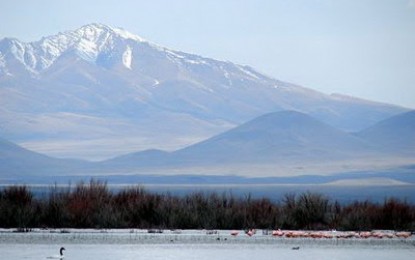Avanza la recuperación de 30 humedales en la provincia