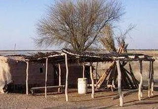 Comunidad huarpe de Lavalle inicia plan de conservación de bosques nativos