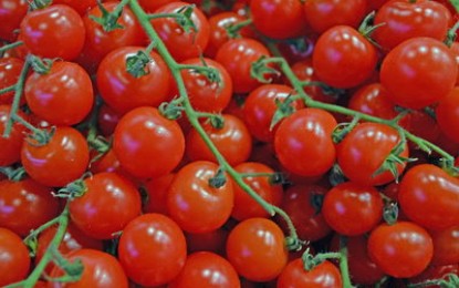 La clase media otra vez arranca mal, para el lado de los tomates