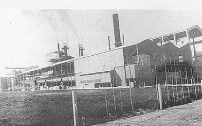 Mendoza: 1936, nace la fiesta de la Vendimia