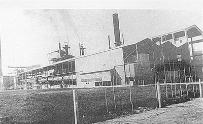 Mendoza: 1936, nace la fiesta de la Vendimia
