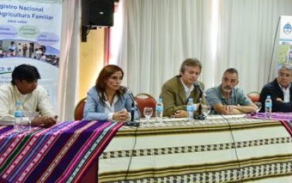 Apoyo a las organizaciones para formalizar o regularizar su situación