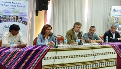 Apoyo a las organizaciones para formalizar o regularizar su situación