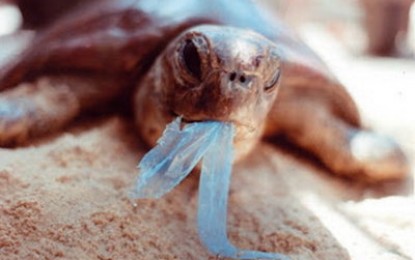 Organizaciones de todo el país rechazan bolsas biodegradables y oxobiodegradables