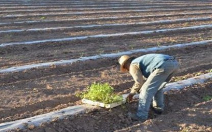 Mendoza crea banca rural