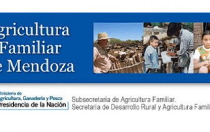 Gobierno financia conservación de bosque