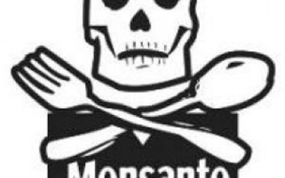 Como se otorgó el permiso de comercialización de la soja “intacta de Monsanto en Argentina