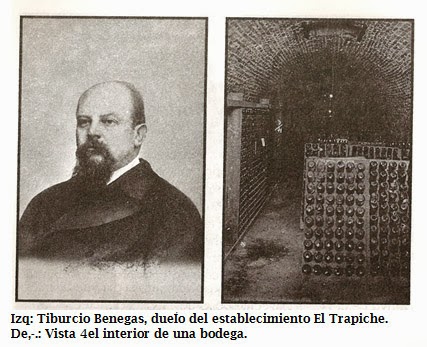 Los viñedos y bodegas (entre 1890 y 1900) II
