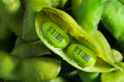 Debate para el 2014: la ley de semillas