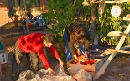 Venta de bolsones de verdura campesina de la UST