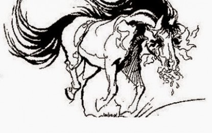 Bagual: más que un caballo.