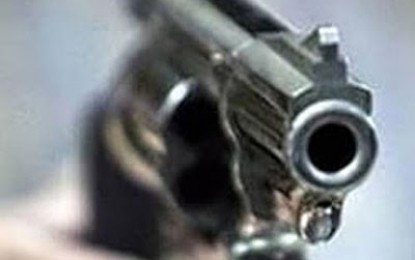 Inseguridad y violencia