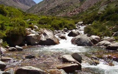 Tres imágenes y un salmo