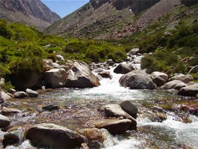 Tres imágenes y un salmo