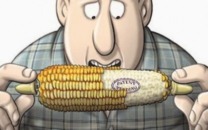Campaña NO a la nueva Ley ‘Monsanto’ de Semillas en Argentina