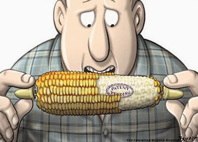 Campaña NO a la nueva Ley ‘Monsanto’ de Semillas en Argentina