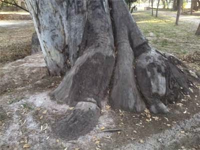 Integración