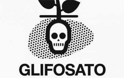 Transgénicos, glifosato y cáncer