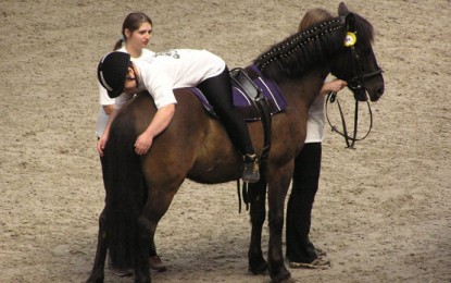 Se aprobó la ley de Equinoterapia en la provincia