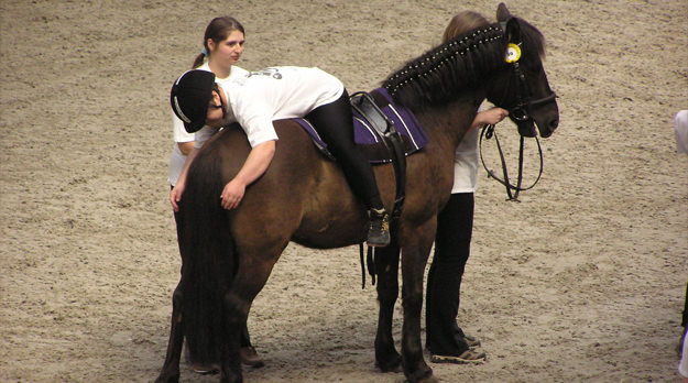 Se aprobó la ley de Equinoterapia en la provincia