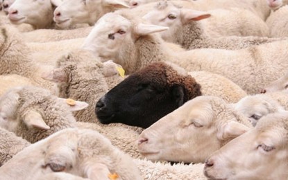 Escolaridad estatal y «aparta de ovejas» (o cómo la D.G.E. ningunea la laicidad)