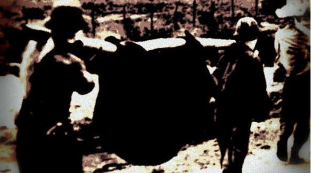La hamaca de Esteban Pérez