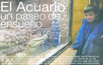 El acuario: ese paseo de ensueño