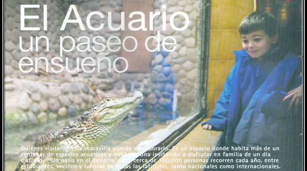 El acuario: ese paseo de ensueño