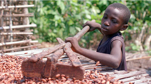 La cara oculta del chocolate: trabajo infantil y deforestación