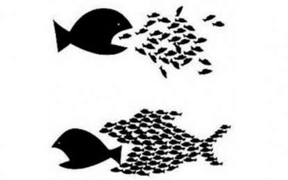 ¿Qué dicen las diferentes elecciones?