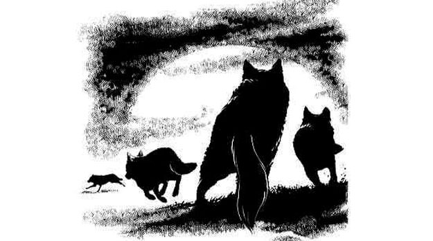 La reunión de Lobos y Pastores…