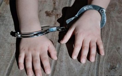 Bajar la edad de punibilidad implica un retroceso
