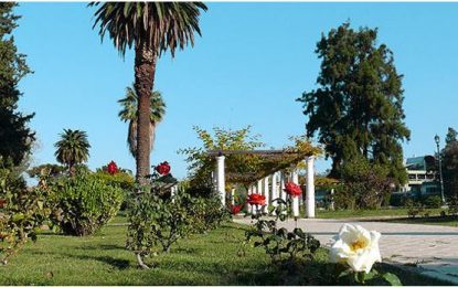 Volver a Mendoza sin salir de Mendoza