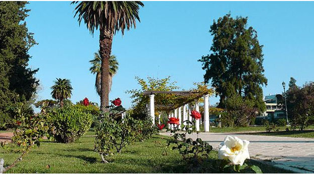 Volver a Mendoza sin salir de Mendoza
