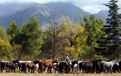 Macri remata tierras en el Valle de Uco