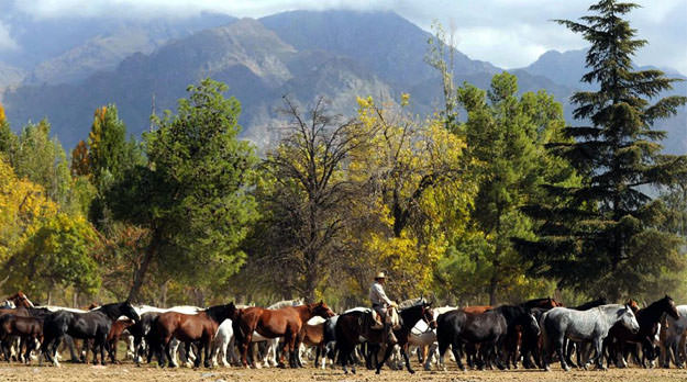 Macri remata tierras en el Valle de Uco