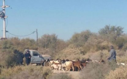 Amenazan con armas de fuego a familias en Jocolí, para quedarse con un campo