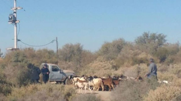 Amenazan con armas de fuego a familias en Jocolí, para quedarse con un campo