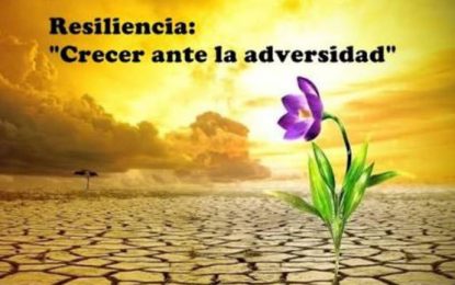 Resistir al golpe
