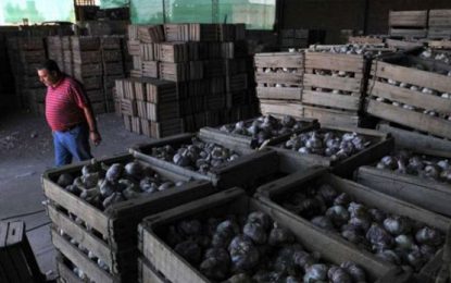Denuncian falsas inspecciones en una empacadora y exportadora de ajos