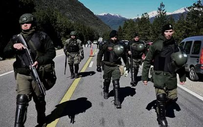 Más evidencias de la cacería
