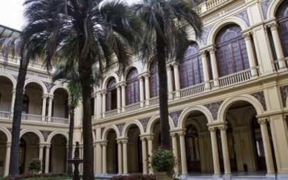 La verdad sobre la palmera de la Casa Rosada